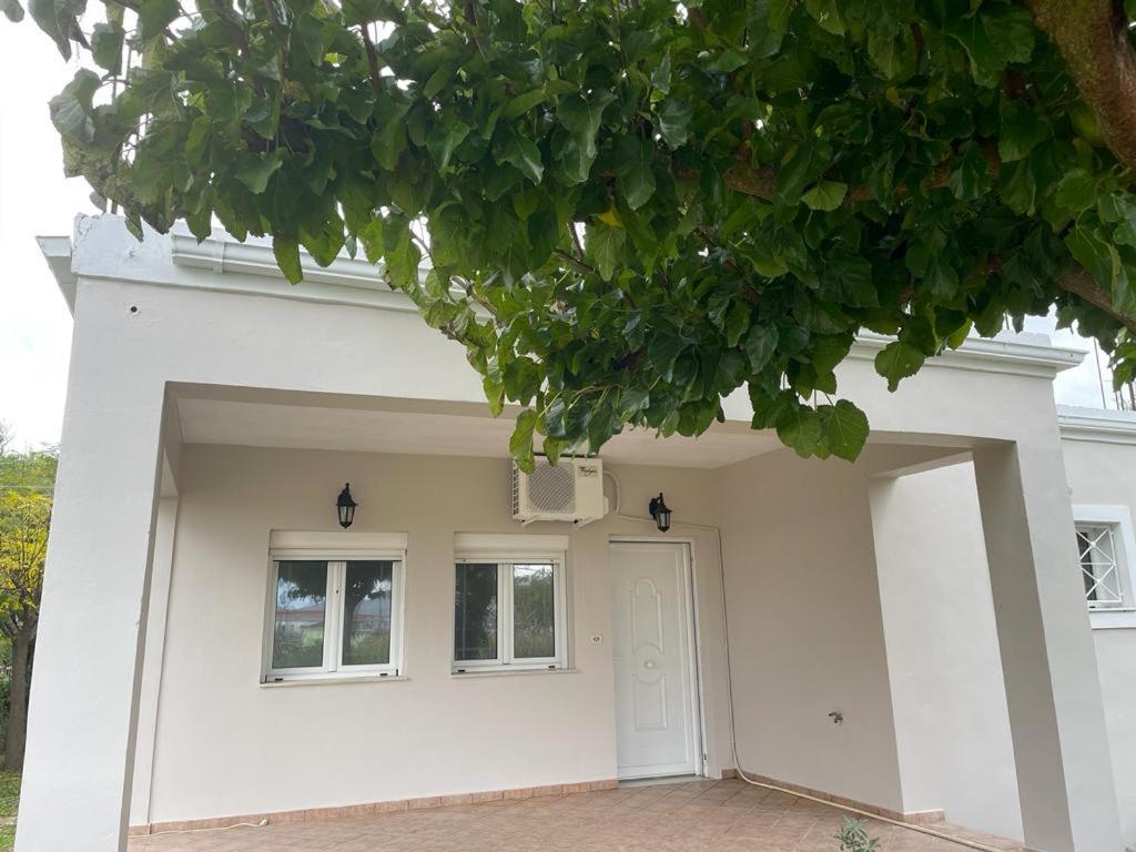 Andromahi Apartments & Suite Λαγανάς Εξωτερικό φωτογραφία